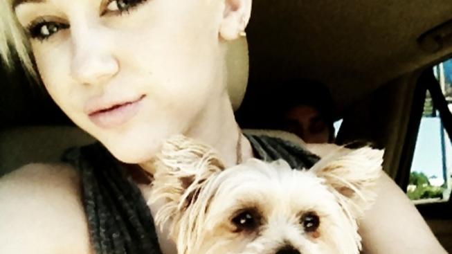 Miley Cyrus