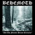 And The Forests Dream Eternally