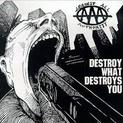Destroy What Destroys You (1996)