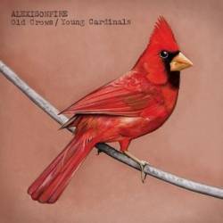 Profilový obrázek - Old Crows / Young Cardinals