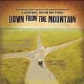 Down From The Mountain: Live Concert (Various Artists)