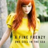 Profilový obrázek - One Cell in the Sea