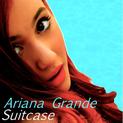 Suitcase