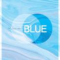 Profilový obrázek - BLUE