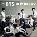 Boy In Luv (Japanese)