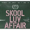 Skool Luv Affair