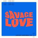 Profilový obrázek - Jason Derulo - SAVAGE LOVE - BTS Remix