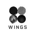 Profilový obrázek - Wings
