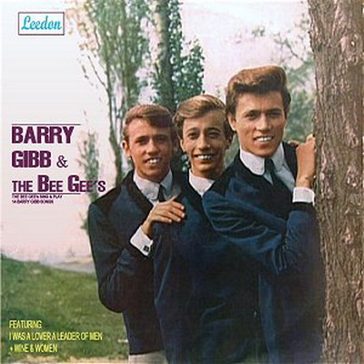 Profilový obrázek - The Bee Gees Sing and Play 14 Barry Gibb Songs