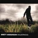 Wilderness (2008)