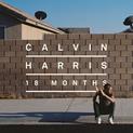18 Months (2012)