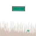 Shamrock Diaries