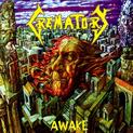 Awake