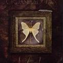 Shadowbox