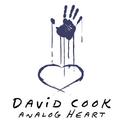 Analog Heart (2006)