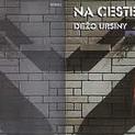 Na ceste domov