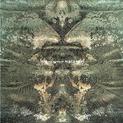 Macabre (2000)