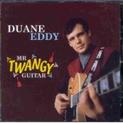 Twangy Guitar