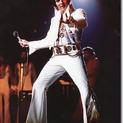 From Elvis Presley Boulevard, Memphis, Tennessee (1975)