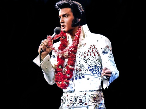 Profilový obrázek - Elvis (2)