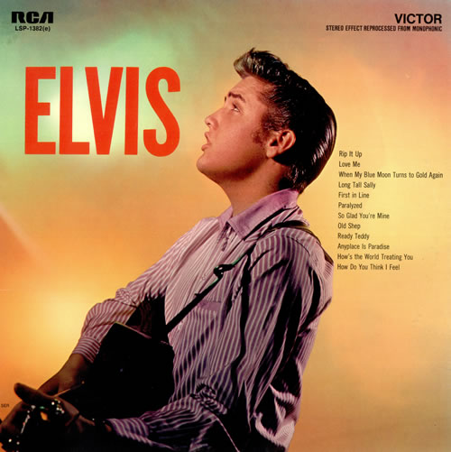 Profilový obrázek - Elvis