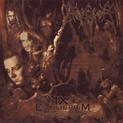 IX Equilibrium