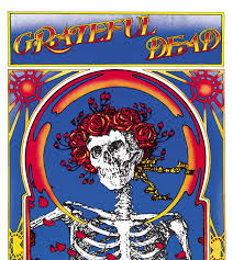 Profilový obrázek - Grateful Dead (Skull & Roses)