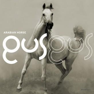 Profilový obrázek - Arabian Horse