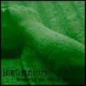 Underneath the Moonlit (Demo)