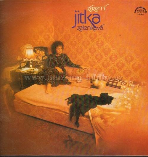 Profilový obrázek - Zázemí