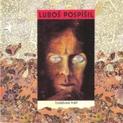Vzdálená tvář (1993)