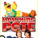 Hacking Pete
