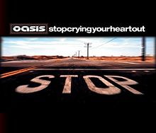 Profilový obrázek - Stop Crying Your Heart Out (single)