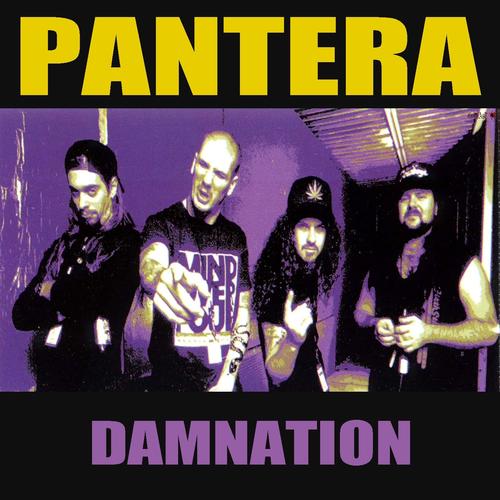 Profilový obrázek - Pantera: Damnation