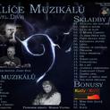 Profilový obrázek - Pavel Diviš Klíče Muzikálů