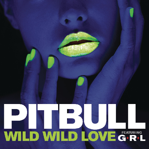 Profilový obrázek - Wild Wild Love (Single)
