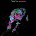 Ammonite