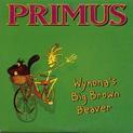 Wynona's Big Brown Beaver / Hello Skinny / Constantinople / Have A Cigar