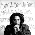 30 Songs for a Revolution
