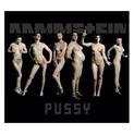 Pussy (singl)