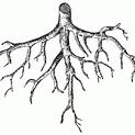 Reap Of Hell (demo)