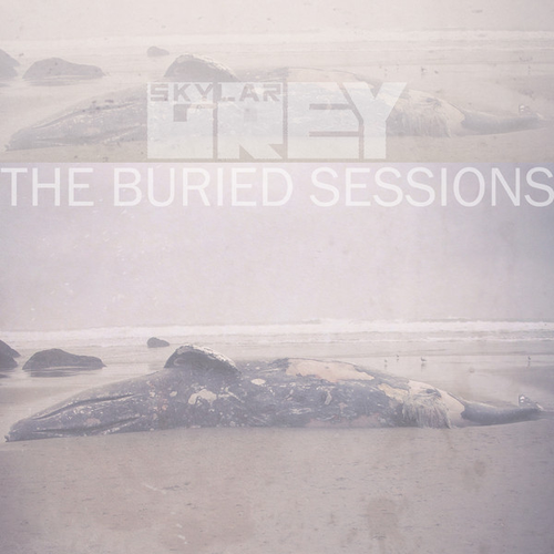 Profilový obrázek - EP: The Buried Sessions of Skylar Grey