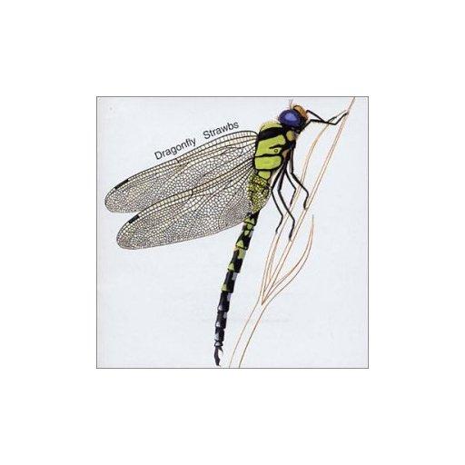 Profilový obrázek - Dragonfly
