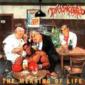 The Meaning of Life