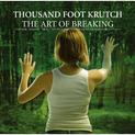 The Art Of Breaking