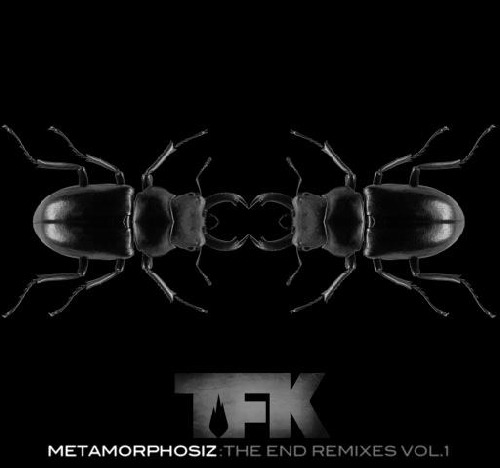 Profilový obrázek - Metamorphosiz: The End Remixes, Vol. 1