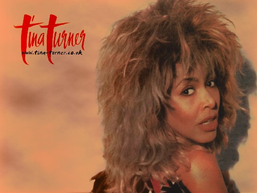 Profilový obrázek - Tina Turner Turns The Country On