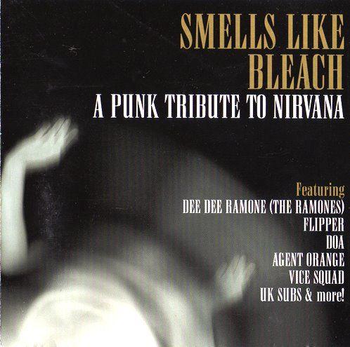 Profilový obrázek - Smells Like Bleach - A Punk Tribute to NIRVANA