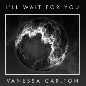 Profilový obrázek - I'll Wait For You (single)