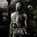 Infamy And The Breed (2007)